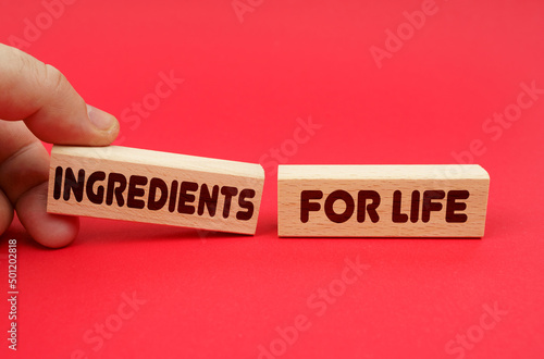 On a red background, wooden blocks, one of them in hand. The blocks are written - ingredients for life