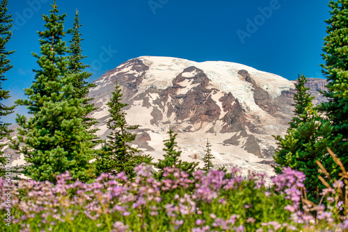 Mount Rainier with snowy peak on a beautiful sunny day, Washington, USA. © jovannig