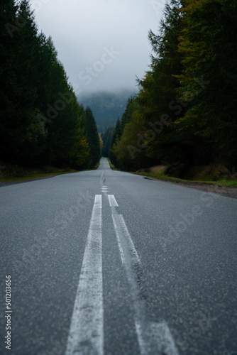 A straight section of an asphalt road in the mountains through the forest