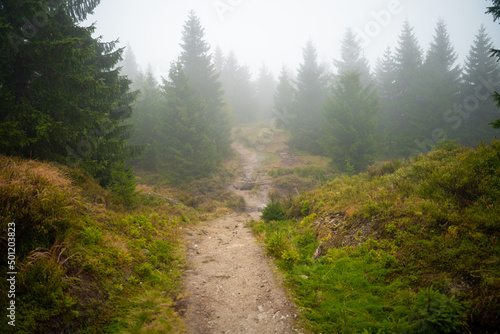 View of the mountain trail during wet autumn weather