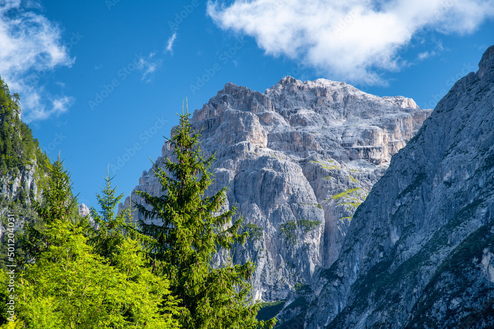 Alps Mountains in the summer season. Peaks and trees against the