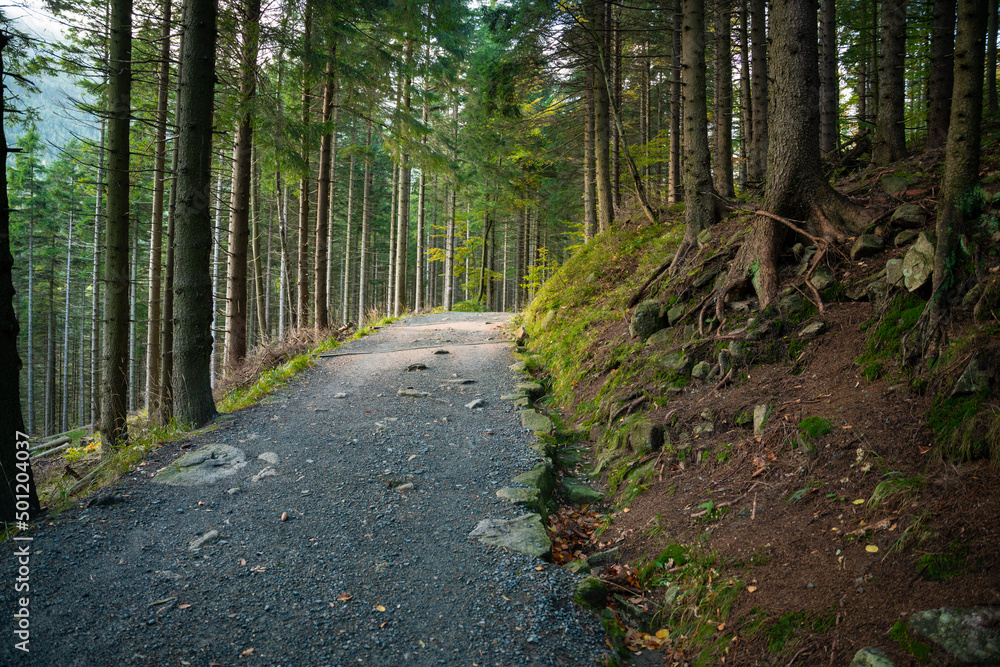 View of the mountain trail during wet autumn weather View of the mountain trail during wet autumn weather