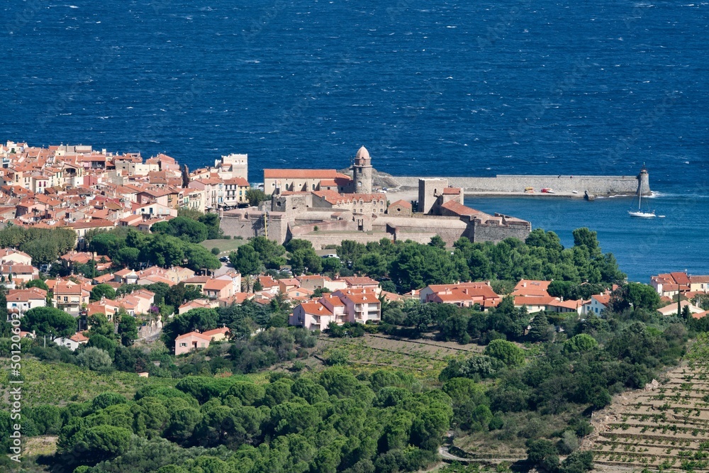 Wine, sea and city of Collioure