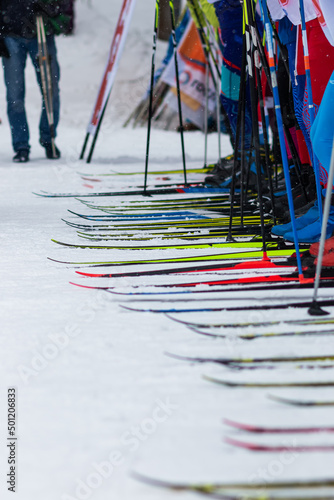 Cross-country skiers lined up at the start of the competition. Lots of skis