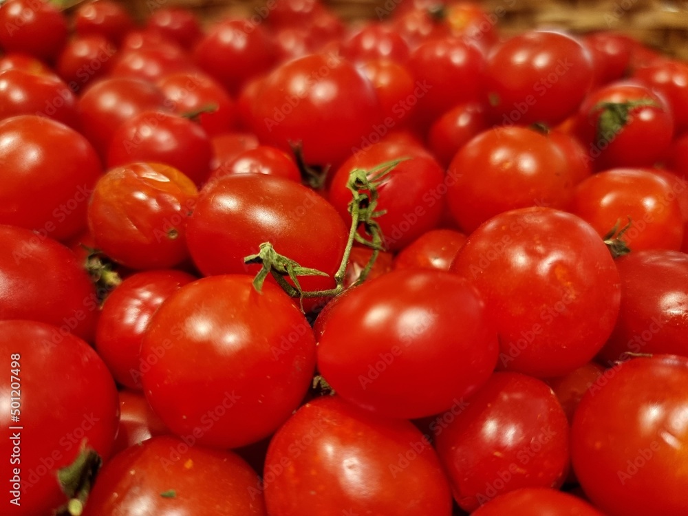 Set of red tomatoes Set of red tomatoes