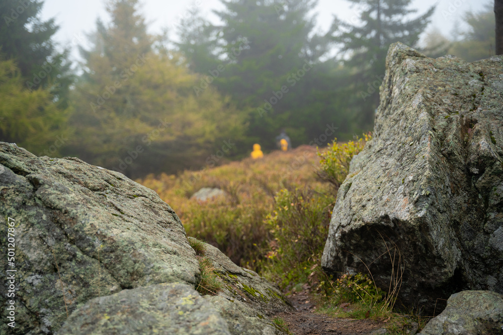 Mum and her little son go on a mountain trail in wet autumn weather. They are accompanied by a dog. Mum and her little son go on a mountain trail in wet autumn weather. They are accompanied by a dog.