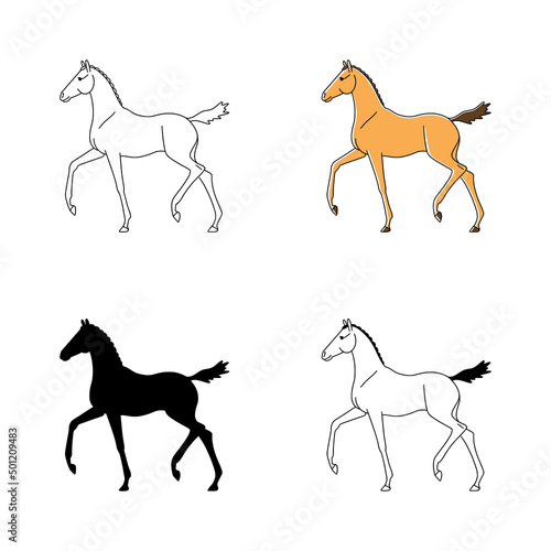 Four designs of a beautiful foal