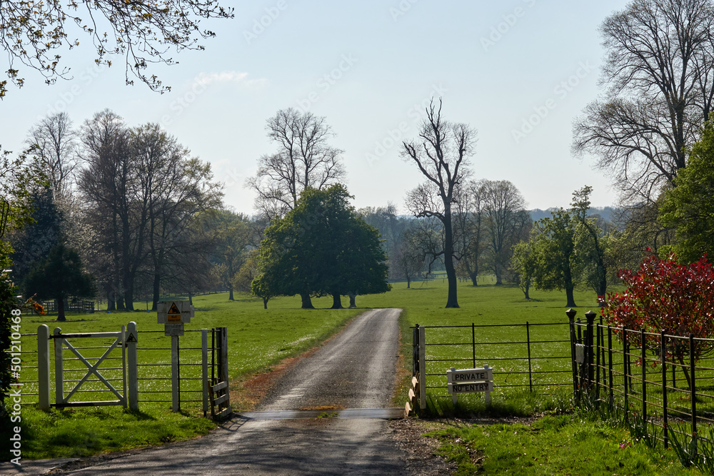 Spring in Yorkshire, UK