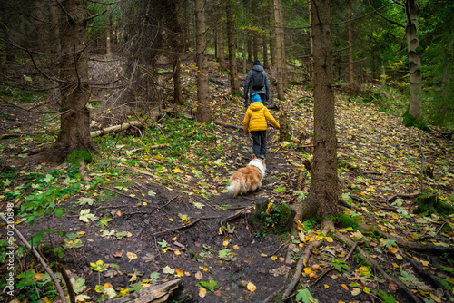 Fototapeta Naklejka Na Ścianę i Meble -  During the autumn, my mother and her little son go on a mountain trail. They are accompanied by a dog.
