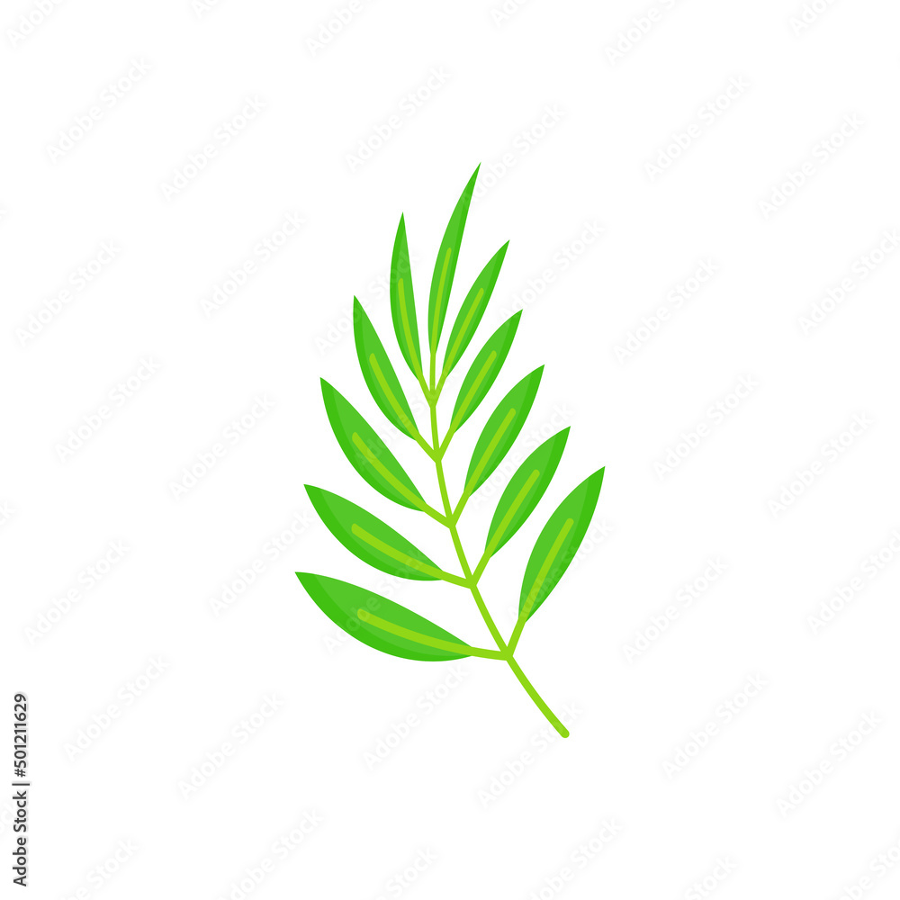 Fototapeta premium tropical Leaves graphic design vector