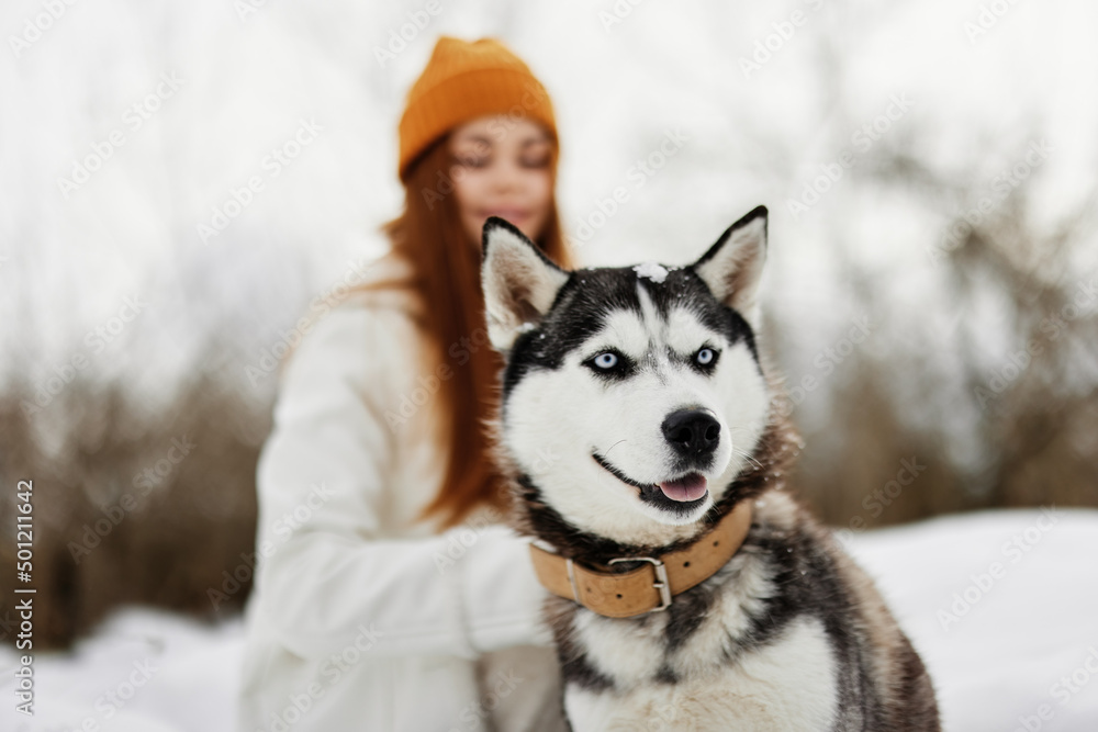 woman with a purebred dog outdoor games snow fun travel Lifestyle woman with a purebred dog outdoor games snow fun travel Lifestyle