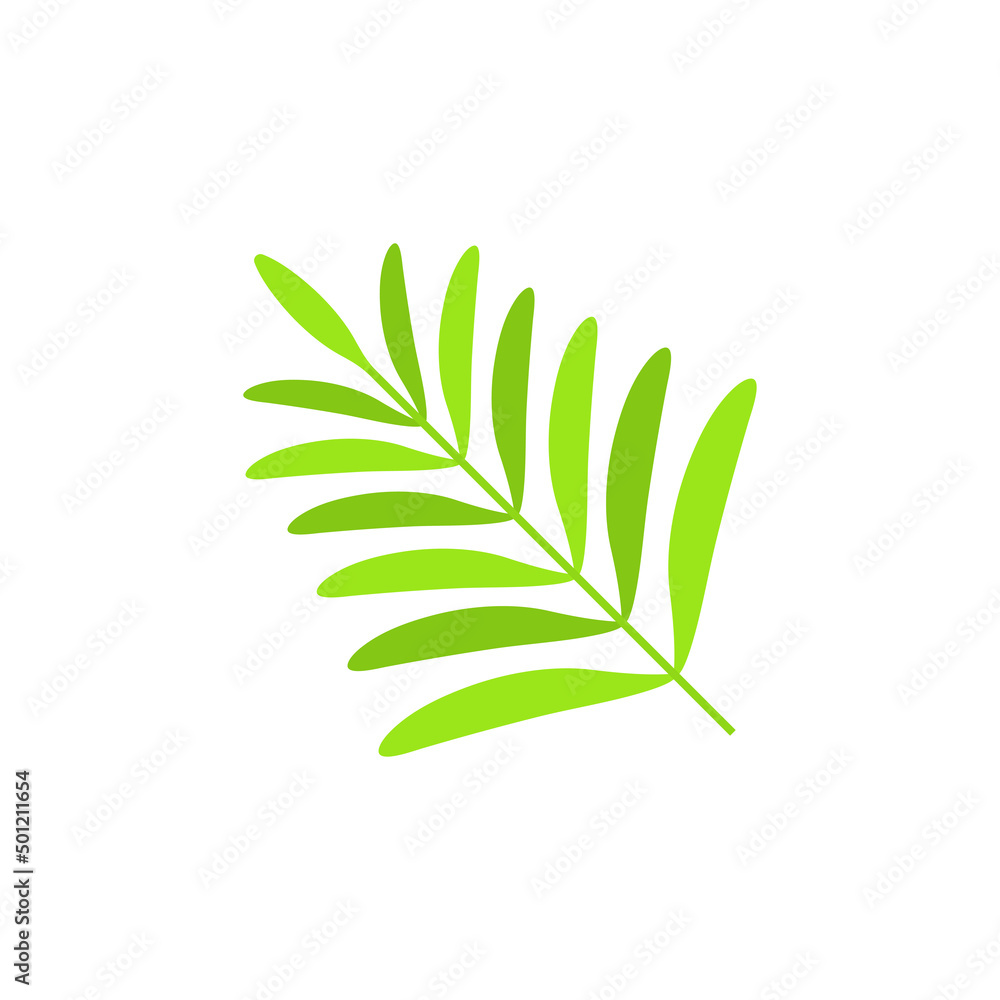 Fototapeta premium tropical Leaves graphic design vector
