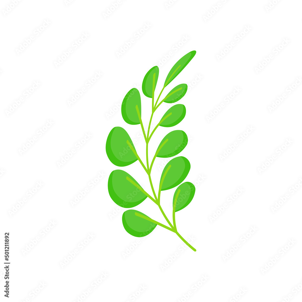 tropical Leaves graphic design vector tropical Leaves graphic design vector