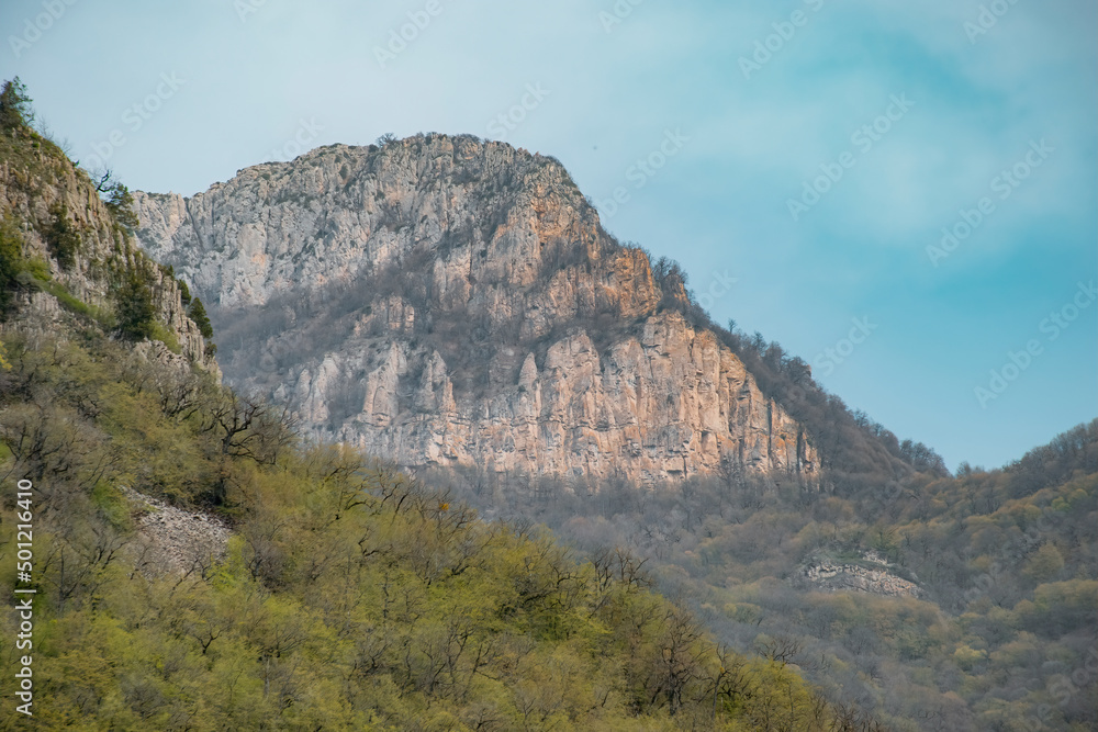 landscape in the mountains in spring