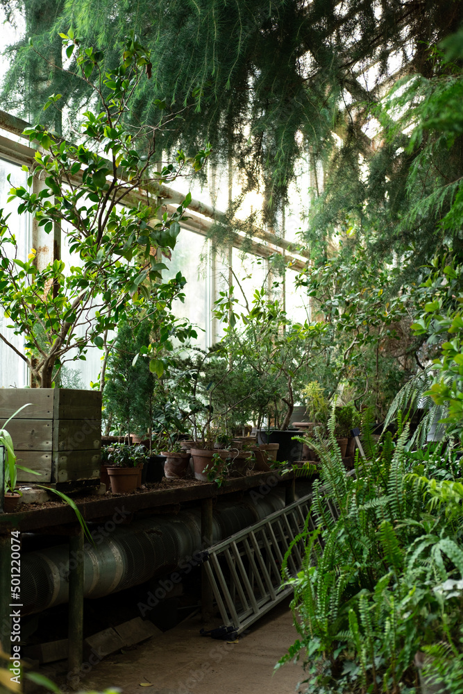 Gardener's workplace in the botanical garden, plant care