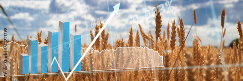 Fotografija Global and European grain and wheat crisis after Russia's invasion of Ukraine