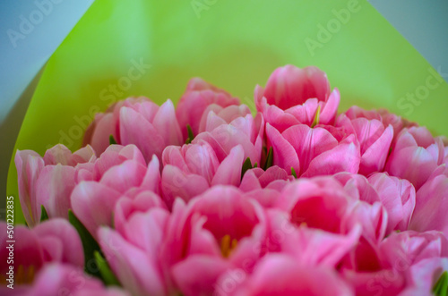 Tulips flowers bouquet with pink tulips in green paper