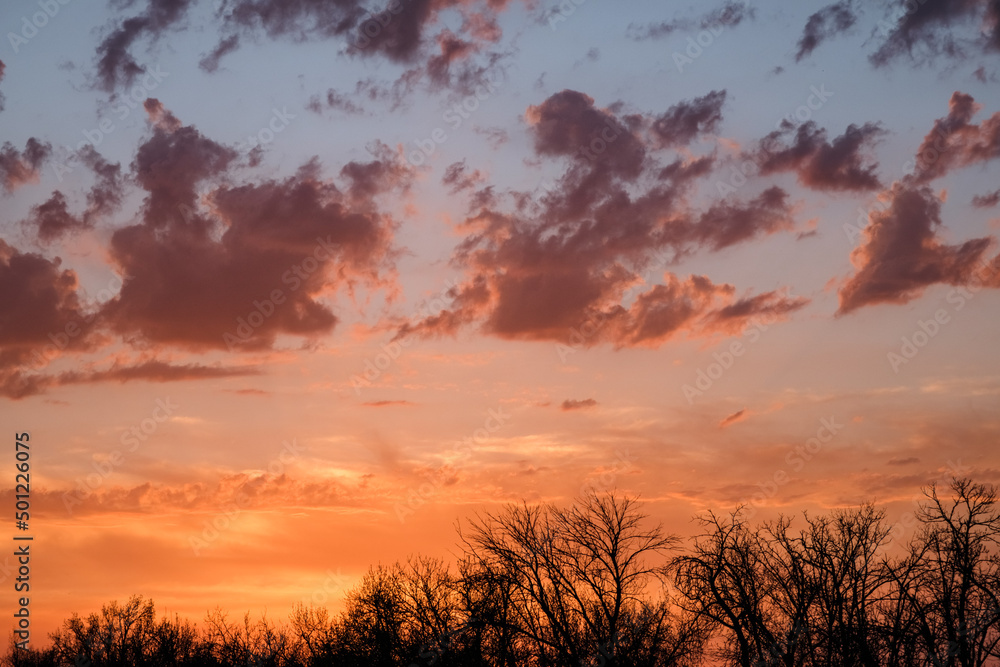 sunset over the field