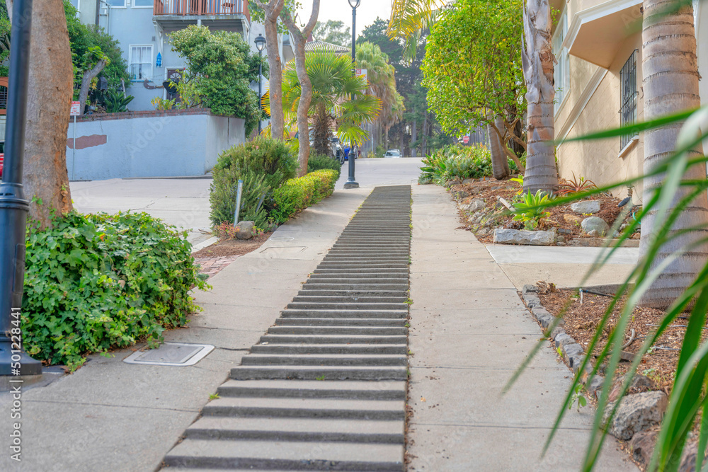 Fototapeta premium Pathway with layered concrete ground in the middle at San Francisco, California