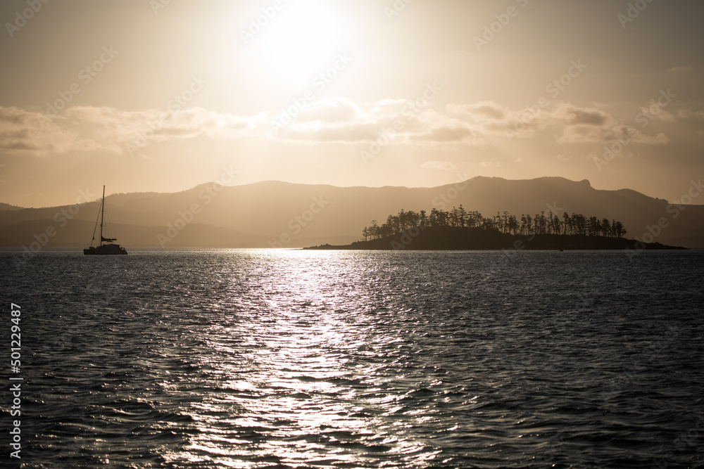 Tropical landscape