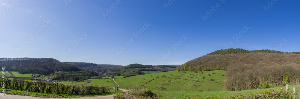 Fototapeta premium panorama of a green meadow in early spring time with trees and dead wood on it, Mullerthal, Luxembourg