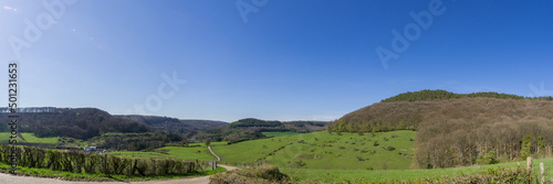 panorama of a green meadow in early spring time with trees and dead wood on it  Mullerthal  Luxembourg