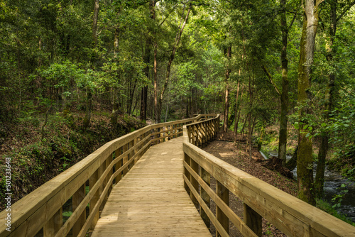 Wooden footbridge in Stanislaus fountain park