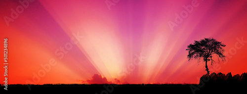 Fotografie, Obraz amazing sunset and sunrise
