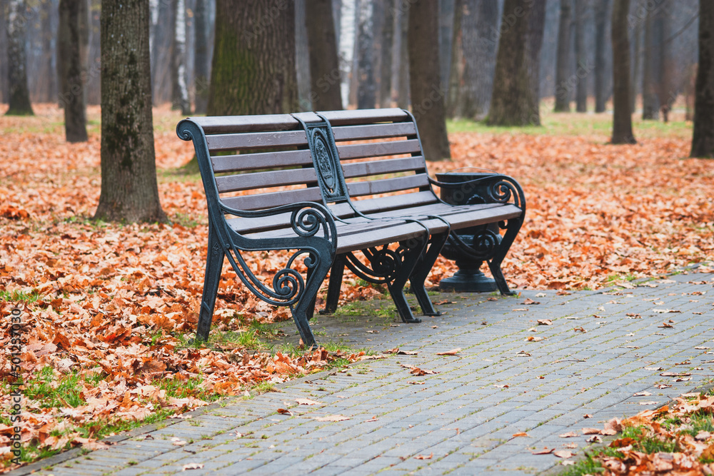 Empty bench in autumn city park, gloomy autumn morning landscape Empty bench in autumn city park, gloomy autumn morning landscape