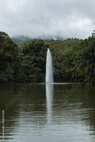 Fountain in the middle of a lake next to the forest