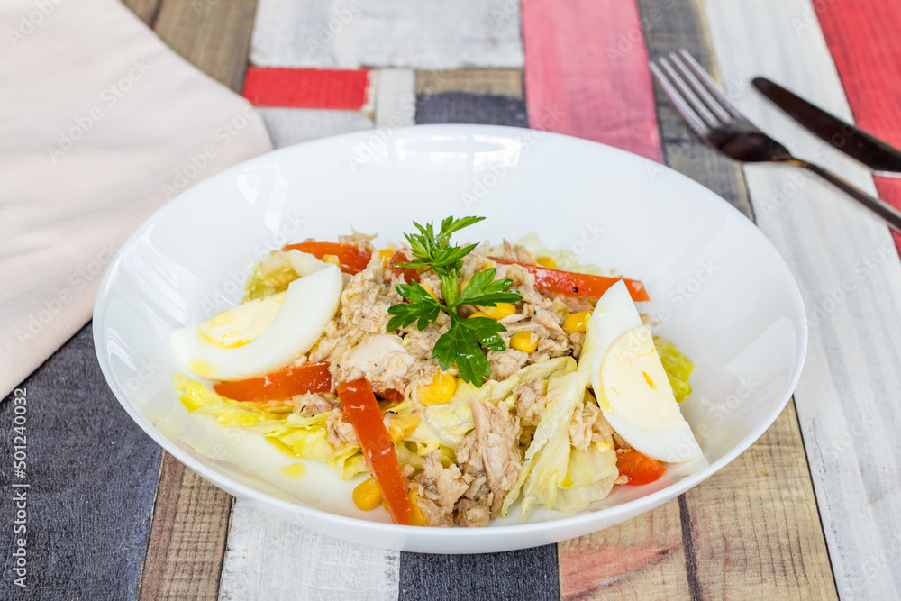 Tuna and vegetable salad on white bowl Tuna and vegetable salad on white bowl