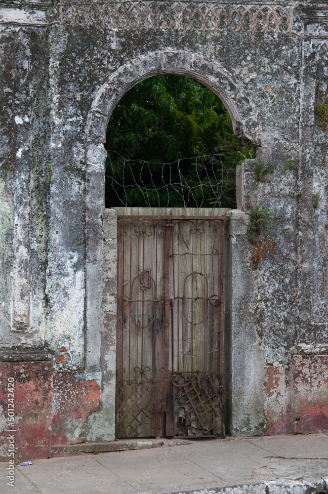 Fototapeta premium old door in a wall