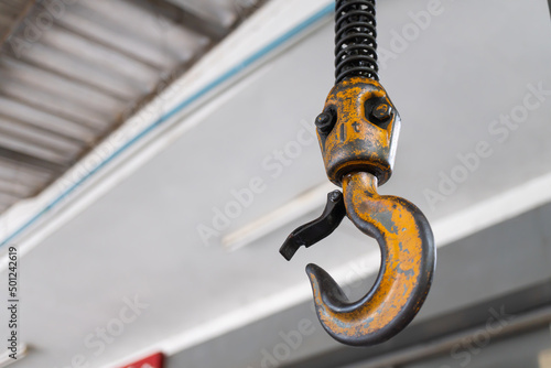 Принти на полотні Crane hook