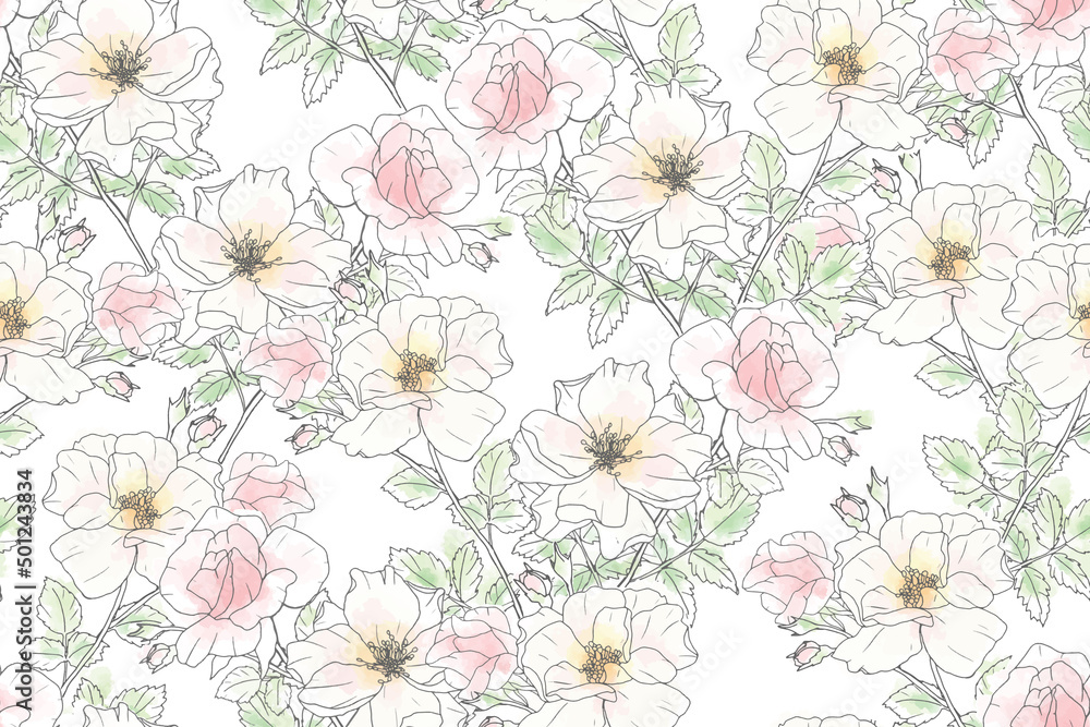 watercolor loose line art pink rose repeat seamless pattern