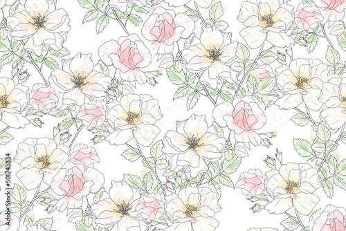 watercolor loose line art pink rose repeat seamless pattern © Unchalee