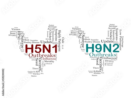 Avian Influenza virus subtype H5N1 and H9N2, illustrations photo