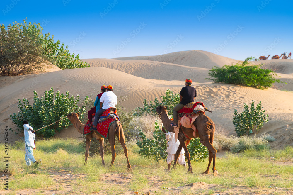 Tourists riding camels, Camelus dromedarius, at sand dunes of Thar desert. Camel riding is a favourite activity amongst all tourists visiting here.