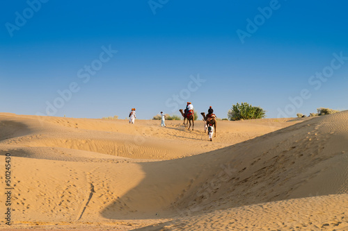 Tourists riding camels, Camelus dromedarius, at sand dunes of Thar desert. Camel riding is a favourite activity amongst all tourists visiting here,