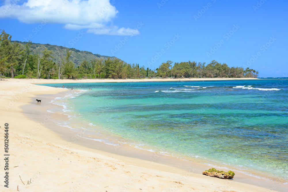 Pristine beach on a sunny Summer day near Mokuleia on the northshore of Oahu in Hawaii