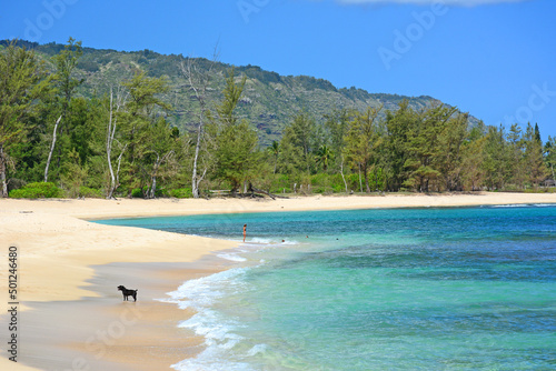 Pristine beach on a sunny Summer day near Mokuleia on the northshore of Oahu in Hawaii