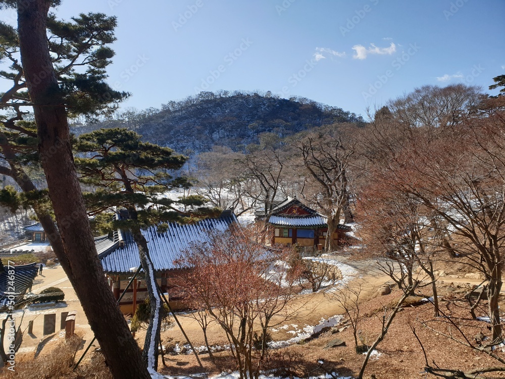 korean traditional temple in winter, 한국 겨울의 절, 강화도 전등사 jeondeungsa, 맑은 하늘 맑은 날씨, sky