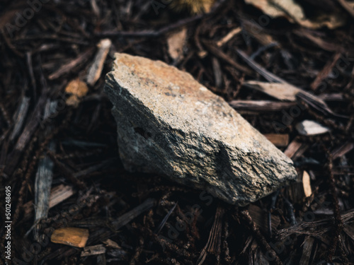 Wallpaper Mural Rock in the forest Torontodigital.ca