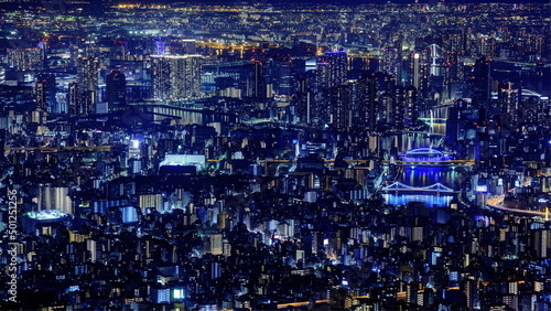 東京スカイツリーから望む夜景