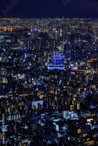 東京スカイツリーから望む夜景