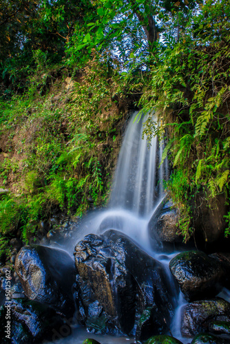 Fototapeta Naklejka Na Ścianę i Meble -  waterfall with plants all around Beautifully shaped natural stone
