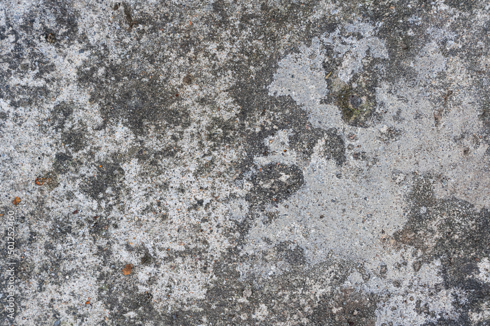 Obraz premium Texture of old concrete wall for background. stone texture