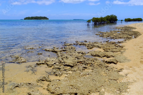 Shore of Pangaimotu island near Tongatapu island in Tonga photo