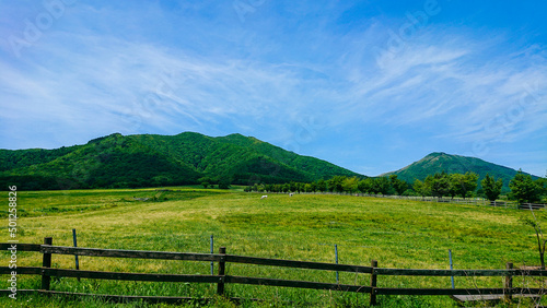 草原と山と空