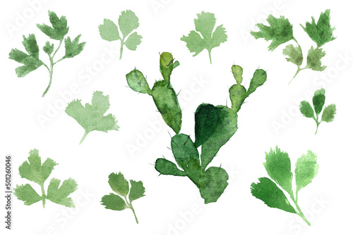 Set of green leaves watercolor illustration on white