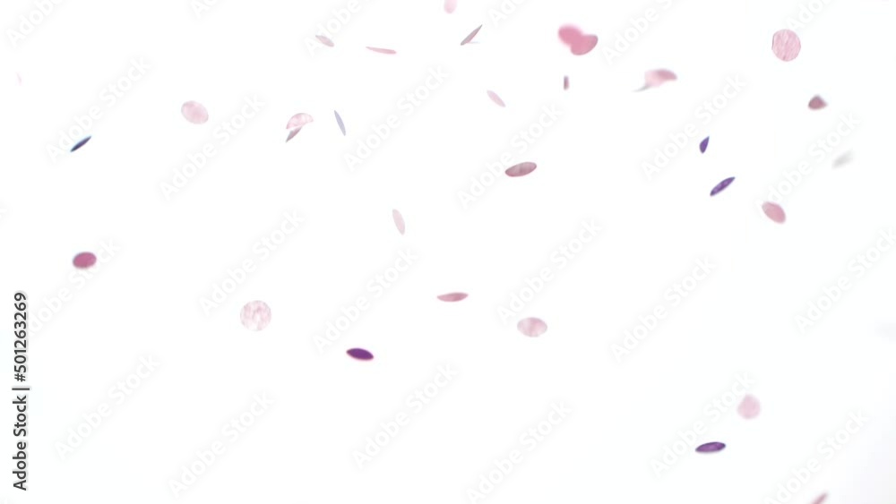 Pink and purple holiday confetti particles isolated on white background falling Pink and purple holiday confetti particles isolated on white background falling